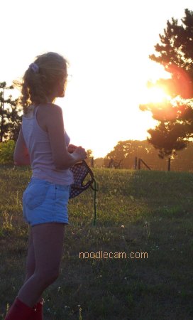 It sure is a nice evening to play with the puppies!