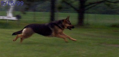 Stella in perfect form